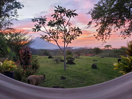 Balgue House | Ananda Guesthouse