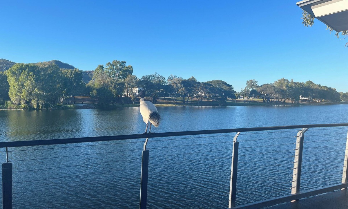 Thuringowa Central Bed & Breakfast | Central Thuringowa willows Riverway & ross river naturist CO retreat