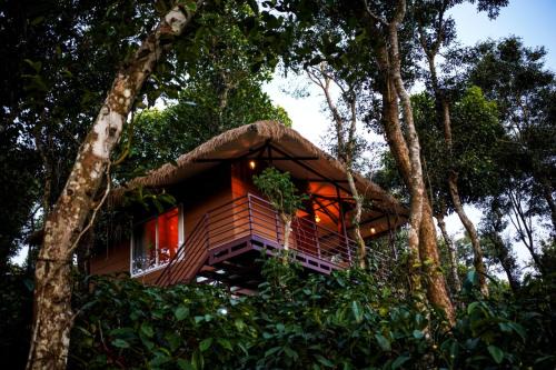 Mananthavady Resort | Coffee Cradle Wayanad Luxuorios Private Tree House - Inside 2 Acre Coffee Plantation
