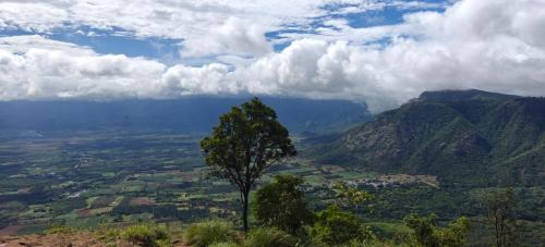 Thekkady Bed & Breakfast | Misty Views Mountain Retreat