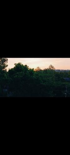 Yercaud House | MScottage