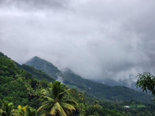Talipparamba House | SenSac Paithalthattu Homestay