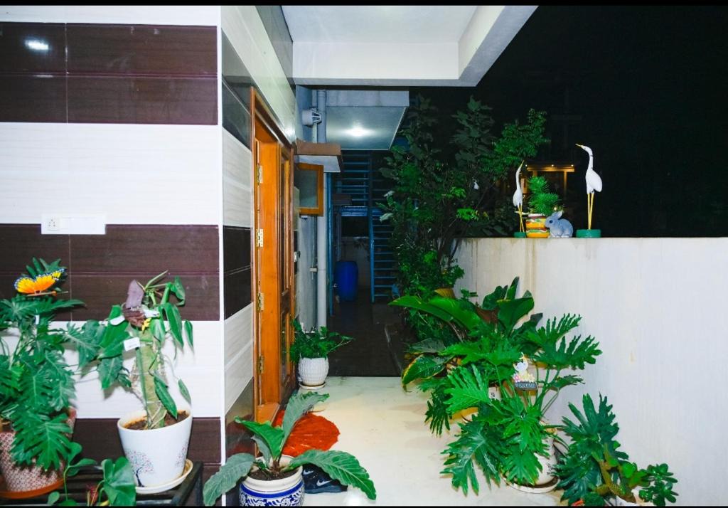 Bengaluru House | Serene