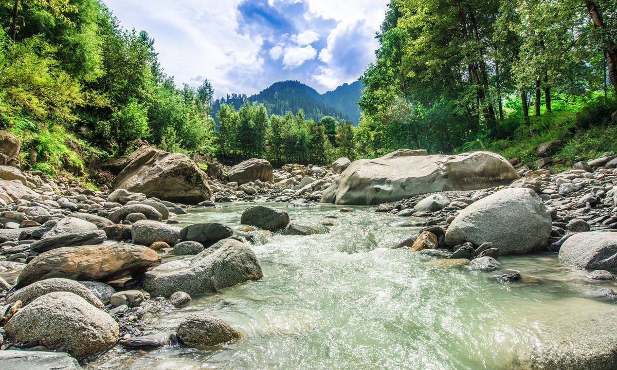 Palchan Resort | Solang Valley Resort