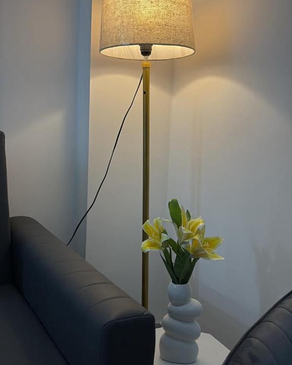 Sector 39 Apartment | Studio Ayaana Premium 1Bhk 500 meters to Medanta