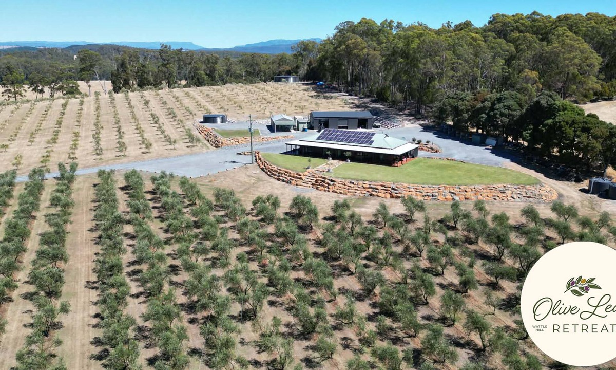Latrobe Other | The Olive Leaf Retreat