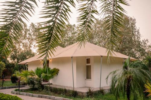 Sawai Madhopur Resort | Tree of Life Tiger Trails, Ranthambore
