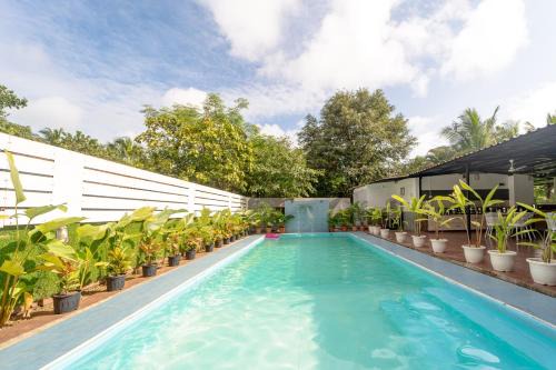 Saligao Hotel | Treebo Clarissa Resort with Swimming Pool