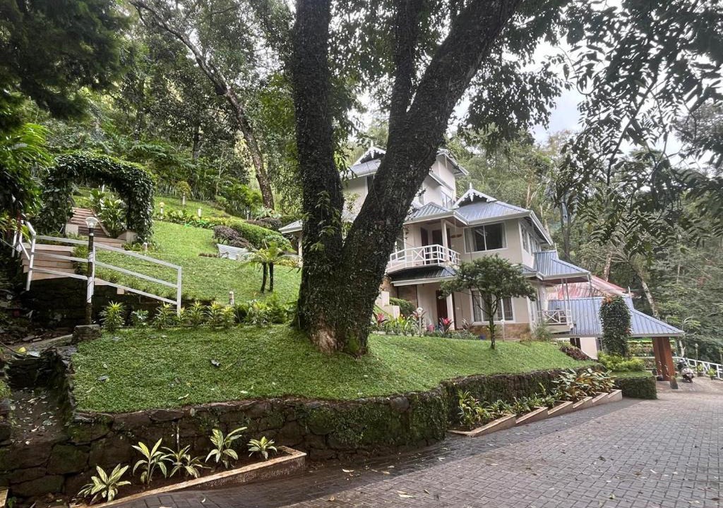 Pallivasal Resort | Violet Woods-The Infinity Pool Resort