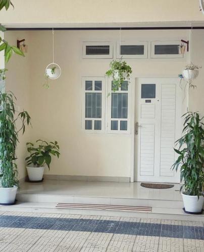 Kalpetta Hotel | Wayanad Cliff Hotel Apartments