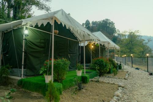 Almora Other | Whispering Water Camp