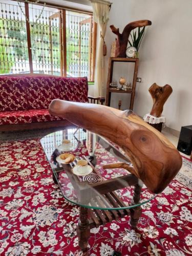 Thiruvananthapuram House | White Butterfly-A Mindful Kerala Farmstay