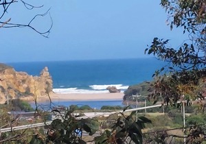 Beach & Bush Haven Su in Fairhaven