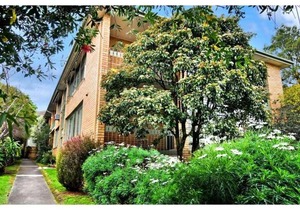 Central Balwyn in Mont Albert