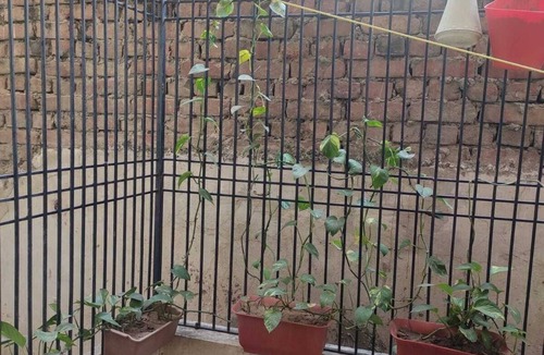 Varanasi Apartment | 2 bed room apartment in prime location
