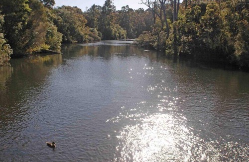 Margaret River Condo | Aroha Studio | Elegant & Tranquil | Self Contained