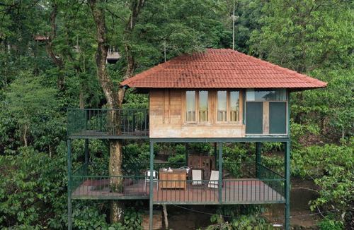 Kalpetta Resort | Avadale Wayanad - Stag Group Not Allowed