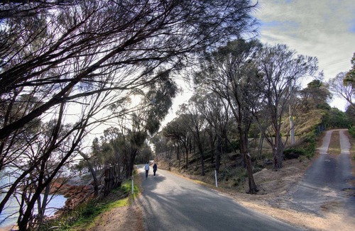 Coles Bay House | Beachcroft - Freycinet Holiday Houses
