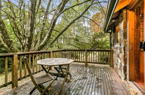 Olinda Apartment | Beech - 2 Perrins Creek Rd Olinda