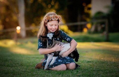 Beerwah House | Blackwattle Farm