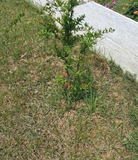 Faizabad Resort | Blessings