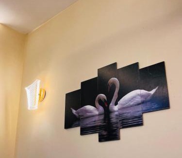 Malviya Nagar Apartment | Blissful nest