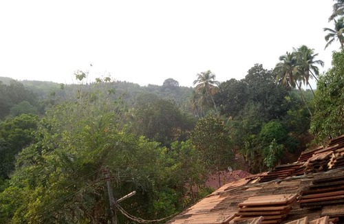 Agonda Hotel | Blue planet