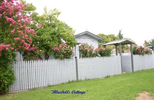 Albury House | Bluebells Cottage