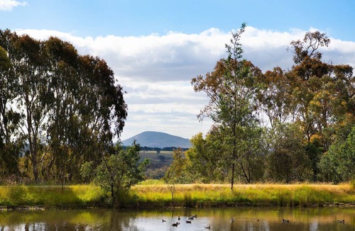 Eganstown House | Brandy Hot Forest Retreat - 16 guests | Free Wifi