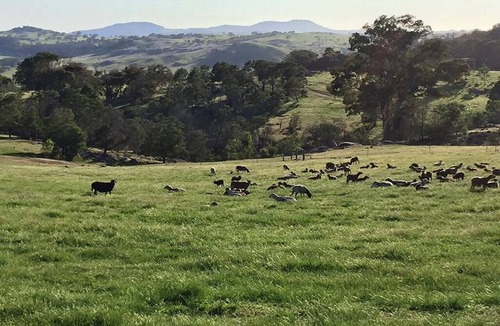 Ruffy House | Camp Ruffy - remote, off-grid & accessible, just 99 minutes north of Melbourne