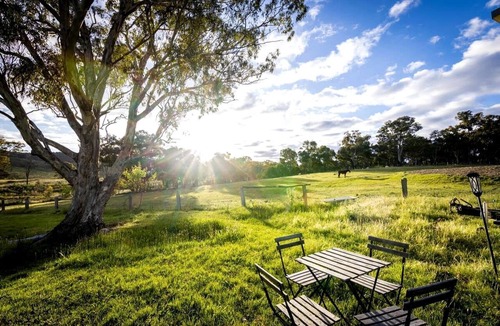 Windeyer Cabin | Classy Tiny House on an Alpaca Farm in Windeyer Ideal for Luxury Glamping, NSW