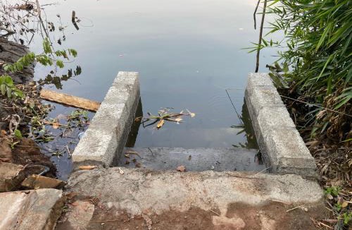North Paravur Bed & Breakfast | D Cunhas Riviera