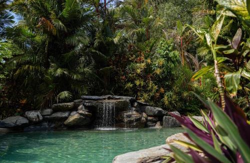 Wonga Beach Other | Daintree Beach Resort