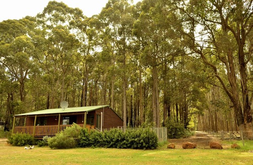 Diamond Tree Cottage | Diamond Forest Farm Stay, Pet Friendly cottages
