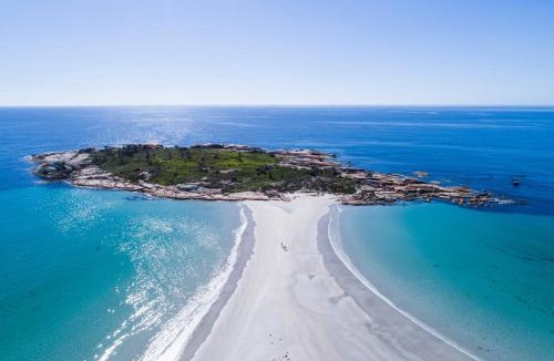 Bicheno Resort | Diamond Island Resort, Restaurant & Bar and Penguin Show