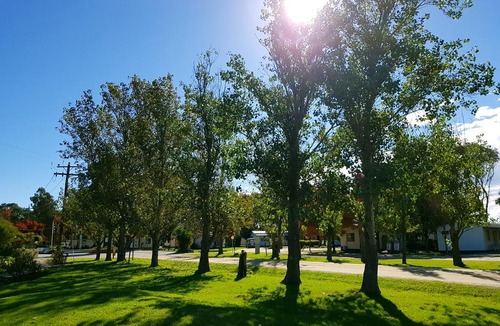 Moama Hotel | Discovery Parks - Moama West