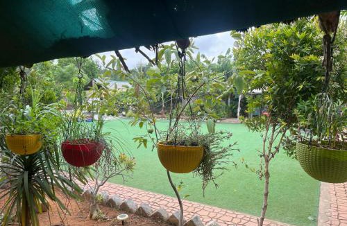 Visakhapatnam Other | Doctors nature nest