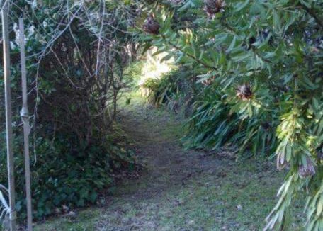 Blackheath House | Dowling Cottage - tranquil haven in Blackheath