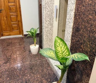 Hyderabad Apartment | Elite Homes Stay