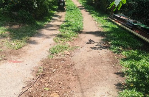Yercaud Villa | Farmer villa