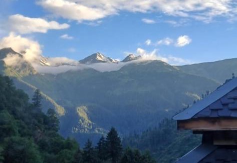 Tosh House | Forest view Home stay