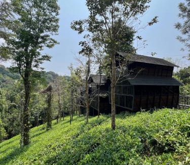 Vayittiri Hotel | Fresh Wave Resort With Private Pool Tree House - Soochipara - Wayanad