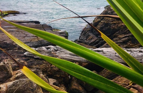 Grassy Head House | Grassy Head Schoolhouse: Secluded Cottage By the Sea