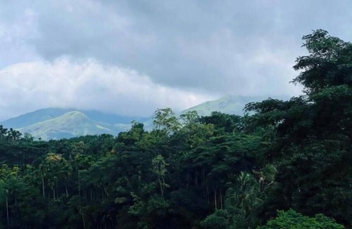 Vayittiri Apartment | Hide Away : Two-Bedroom Apartment