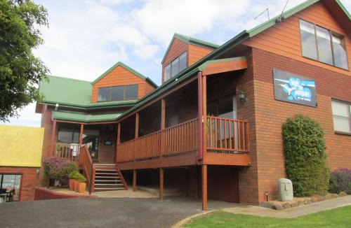 Penguin Bed & Breakfast | High On Penguin