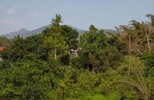 Kalpetta Hotel | Hill View Residency