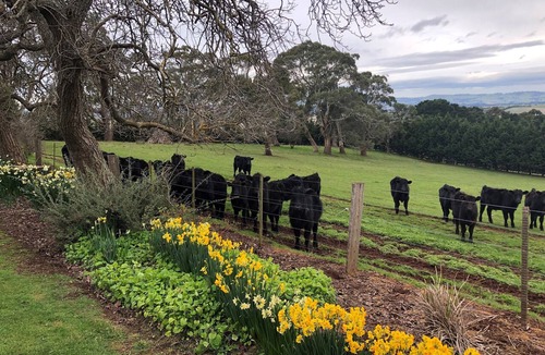 Rochford House | Hillcrest Country Estate, Beautiful location in Macedon Ranges