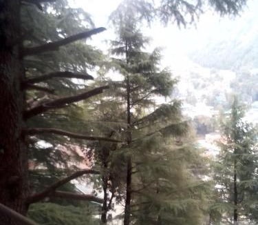 McLeod Ganj House | Himalayan Triund Hill View Hostel