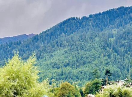 New Manali Hotel | Hotel Royal Selection