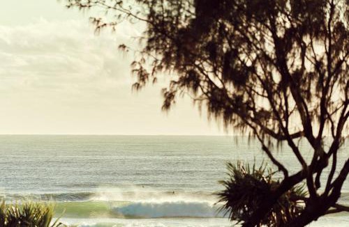 Currumbin Apartment | Houston Beachfront Apartments